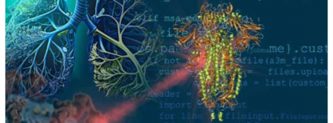 Infrared Spectroscopy of SARS-CoV-2 Viral Protein: from Receptor Binding Domain to Spike Protein