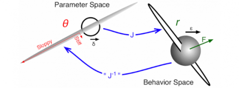 Sloppy models, differential geometry, and why science works