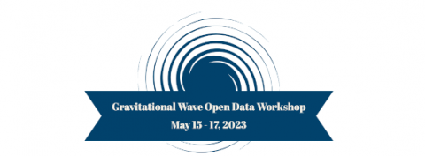 Gravitational Wave Open Data Workshop