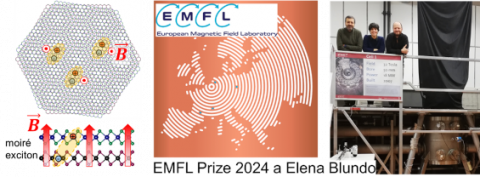 European Magnetic Field Laboratory Prize 2024 a Elena Blundo