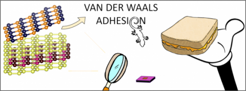 Van Der Walls