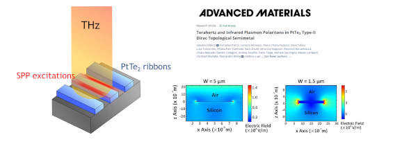 Terahertz and Infrared Plasmon Polaritons in PtTe2 Type-II Dirac Topological Semimetal ( Advanced Materials)