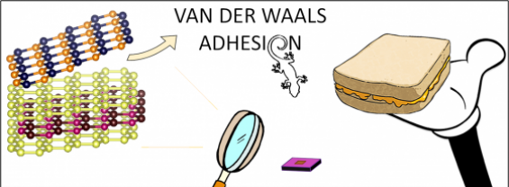 Van Der Walls