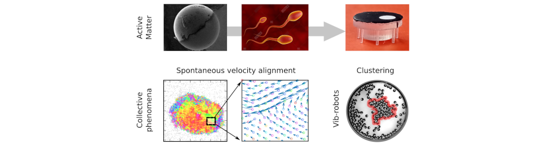 Emergent Phases in High-Density Active Matter: From Velocity Alignment and Collective Excitations to Chiral Bubbles