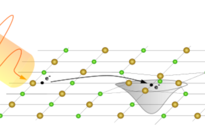 Optical conductivity and photo-induced polaronic formation in co2mnga topological semimetal