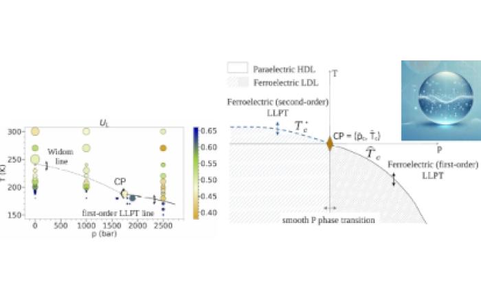 Ferroelectricity Sheds Light on the Liquid-Liquid Phase Transition in Supercooled Water