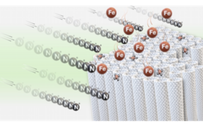 Non-Chemical Route to PGM-free via N+ Ion Implantation in Vertically Aligned Carbon Nanotubes.