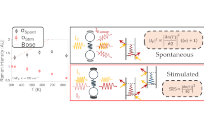 New insights into Raman thermometry
