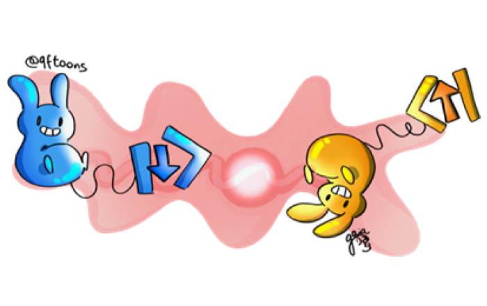 Quantum Observables in High Energy Physics