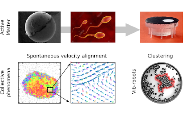 Emergent Phases in High-Density Active Matter: From Velocity Alignment and Collective Excitations to Chiral Bubbles